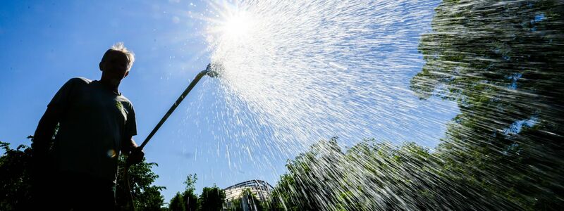 Auch in manchen Gärten ist der Wasserbedarf schon groß. - Foto: Julian Stratenschulte/dpa