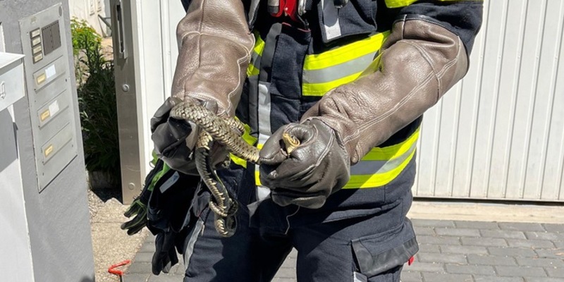 FW-M: Zurück in die Natur (Lerchenau) - Foto: presseportal.de