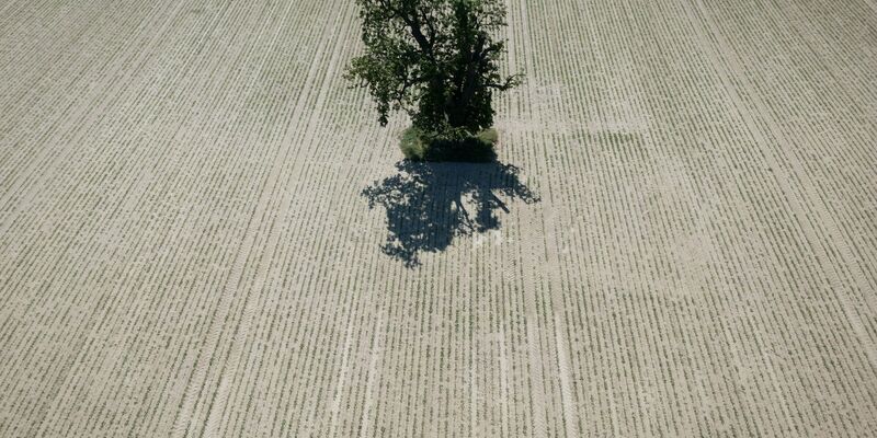 Weite Teile Europas leiden seit Jahren unter zunehmender Wasserknappheit. (Archivbild) - Foto: Boris Roessler/dpa