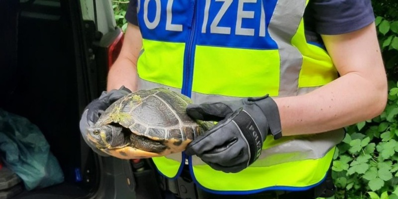 BPOL NRW: Die Bundespolizei - gefragte Tierretter im Einsatz - Foto: presseportal.de