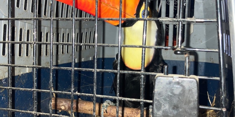 POL-H: Geschützte Tierarten bei Verkehrskontrolle auf der Autobahn (A) 2 entdeckt - Foto: presseportal.de