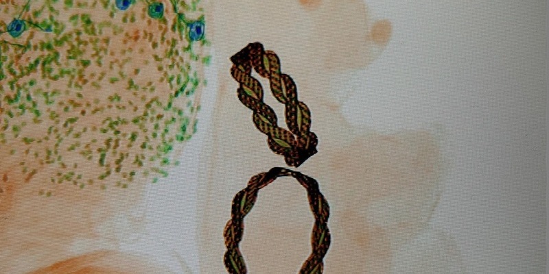 HZA-M: Zoll entdeckt Goldschmuck in einem Teddybären - Foto: presseportal.de