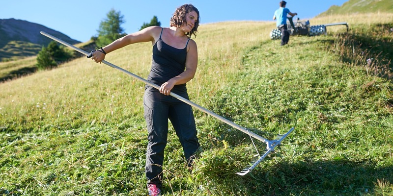 Caritas sucht Freiwillige / Jung, weiblich, städtisch: Sie helfen besonders oft bei Bergbauernfamilien - Foto: presseportal.de