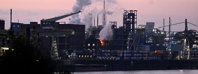 Die Produktion in der Chemie und Pharmabranche wächst wieder (Archivbild) - Foto: Roberto Pfeil/dpa