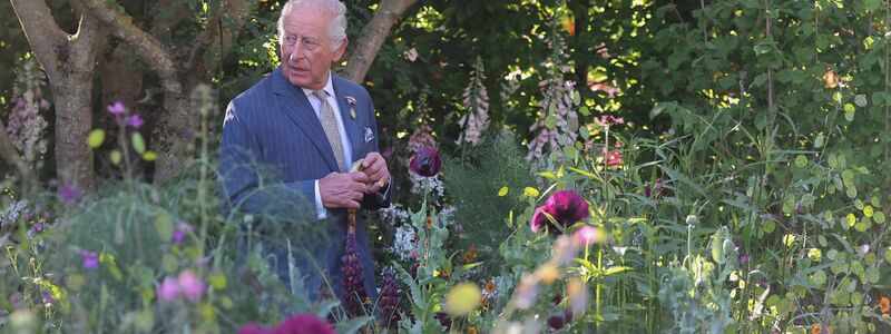 König Charles stützte sich beim Rundgang auf einen Stock. - Foto: Toby Melville/Reuters Pool/AP/dpa