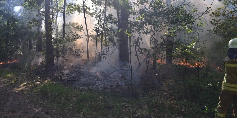 POL-VER: +Warnung vor weggeworfenen Zigarettenkippen+ - Foto: presseportal.de