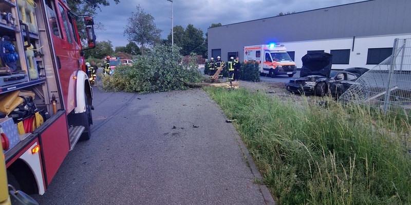 FW Celle: Verkehrsunfall - Foto: presseportal.de