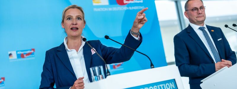 Die AfD fühlt sich durch das Verhalten der anderen Fraktionen benachteiligt. (Archivbild) - Foto: Michael Kappeler/dpa
