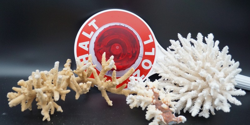 HZA-A: Zoll im Einsatz für bedrohte Tiere und Pflanzen/Internationaler Tag der Artenvielfalt - Foto: presseportal.de