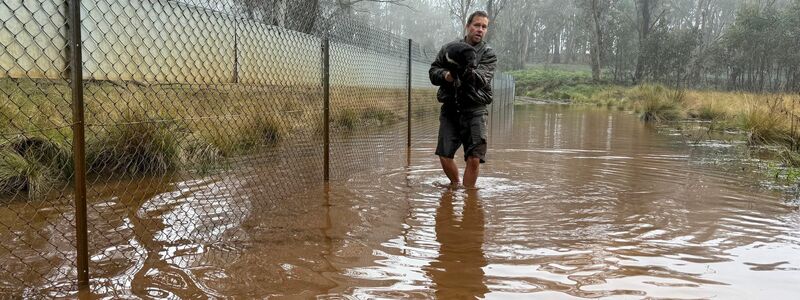 Aussie-Ark-Direktor Tim Faulkner brachte viele Tiere in Sicherheit - wie diesen Tasmanischen Teufel.  - Foto: --/Aussie Ark/dpa