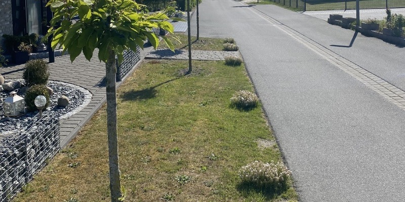 POL-CUX: Straßenbäume der Gemeinde in Beverstedt beschädigt - Zeugenaufruf (Foto im Anhang) - Foto: presseportal.de