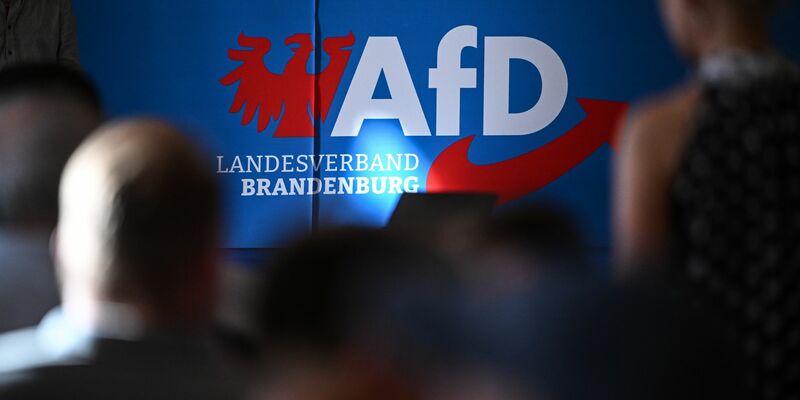 Die AfD in Brandenburg wehrt sich juristisch gegen ihre Hochstufung zur gesichert rechtsextremistischen Bestrebung. (Archivbild)  - Foto: Britta Pedersen/dpa