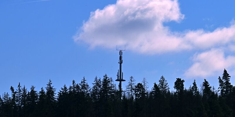 Hier gibt es Handynetz - anderswo fehlen hingegen noch Mobilfunkmasten im Wald, an Wiesen oder an Bauernhöfen. (Symbolbild) - Foto: Martin Schutt/dpa