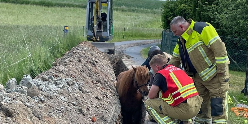 FW Dresden: Verkehrsunfall & Tierrettung - Foto: presseportal.de