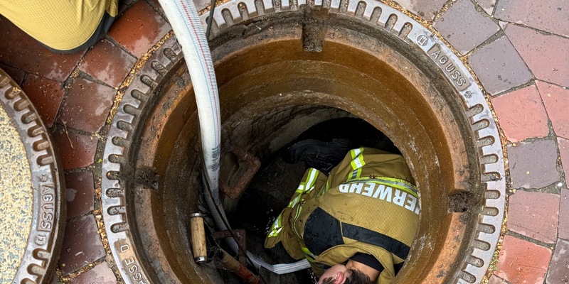FW Osterholz-Scharm.: Feuerwehr rettet Entenküken - Foto: presseportal.de