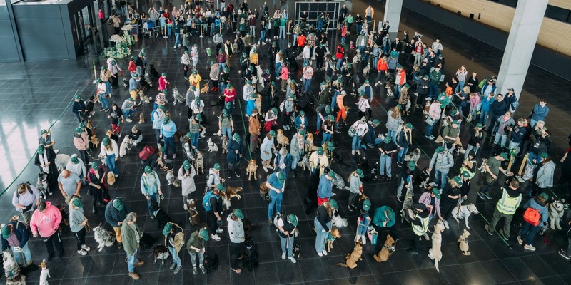 122 Hunde schreiben Geschichte: James Wellbeloved(TM) stellt neuen GUINNESS WORLD RECORDS® Titel auf - Foto: presseportal.de