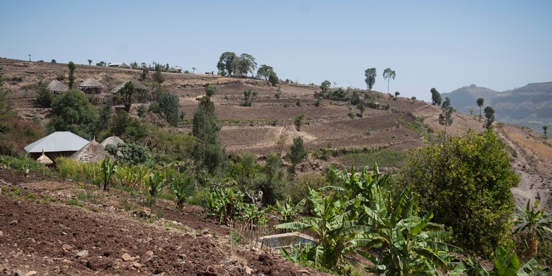 60.000 Kilometer Landterrassen: Menschen für Menschen erreicht Meilenstein für langfristig stabile Böden und Klimaschutz in Äthiopien - Foto: presseportal.de