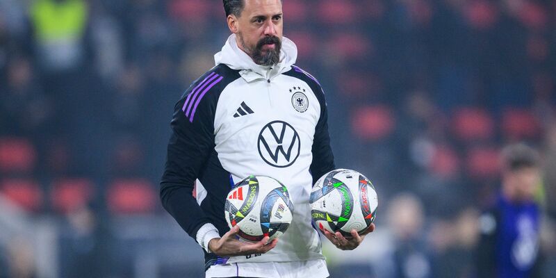 Sandro Wagner wird Trainer in Augsburg. - Foto: Tom Weller/dpa