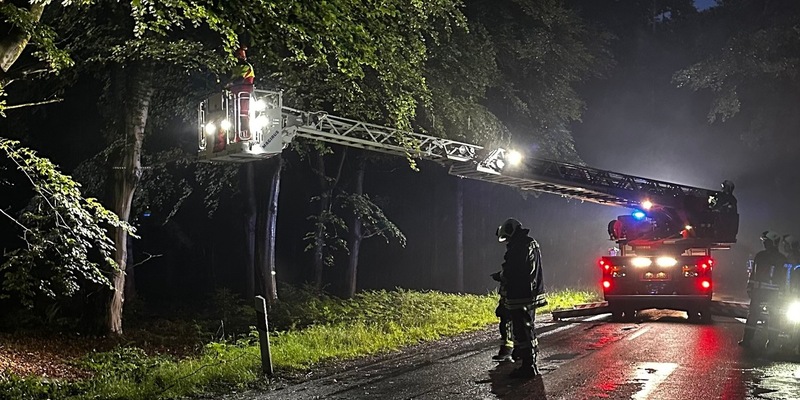 FW-AUR: Äste im Egelser Wald herabgestürzt - Foto: presseportal.de