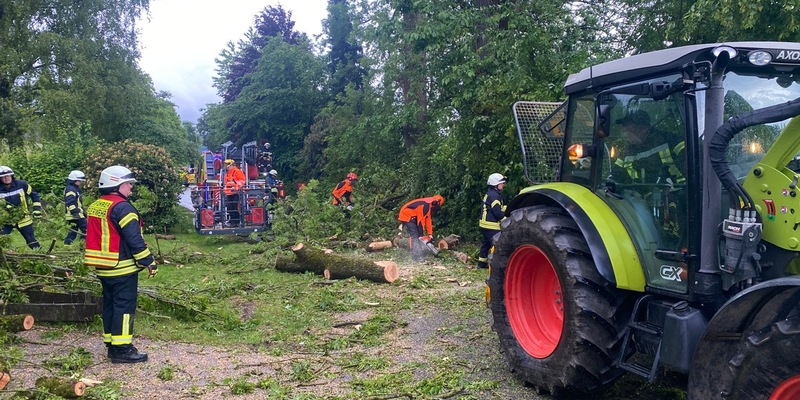 FF Olsberg: Feuerwehr Olsberg fällt über 100 Jahre alte Esche nach Blitzeinschlag - Foto: presseportal.de