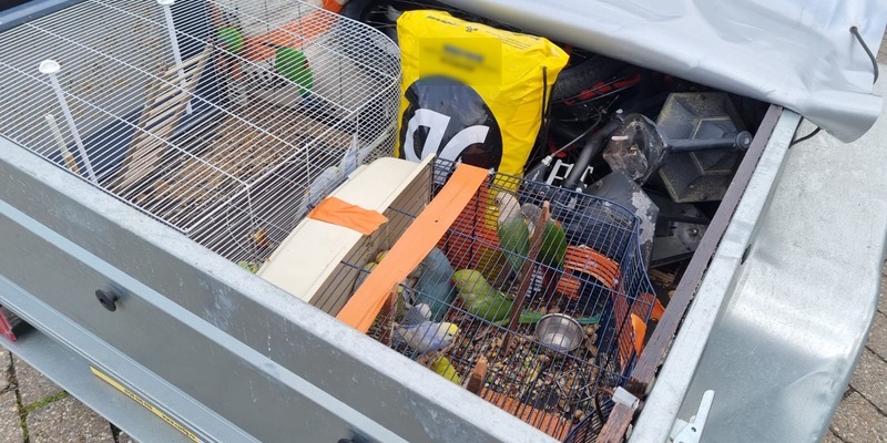 BPOL NRW: Bundespolizei stoppt illegalen Tiertransport von Sittichen - Foto: presseportal.de