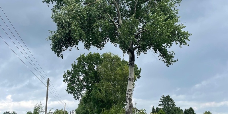 FW-Schermbeck: Zwei Einsätze am Mittwoch - Foto: presseportal.de