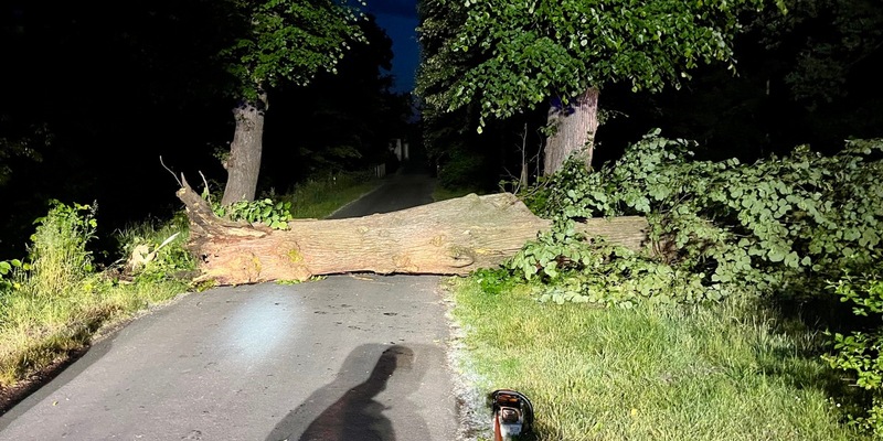 FW Hünxe: Baum blockierte Fahrbahn - Foto: presseportal.de
