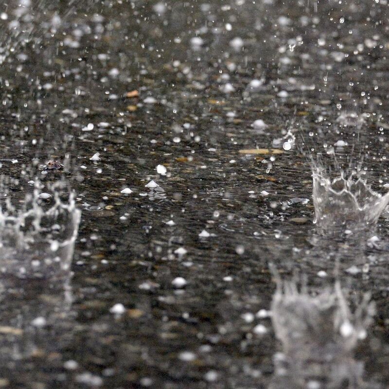 Wenn die ersten Regentropfen auf den Boden aufprallen, gerät ein Duft in die Luft. (Archivbild) - Foto: Patrick Seeger/dpa