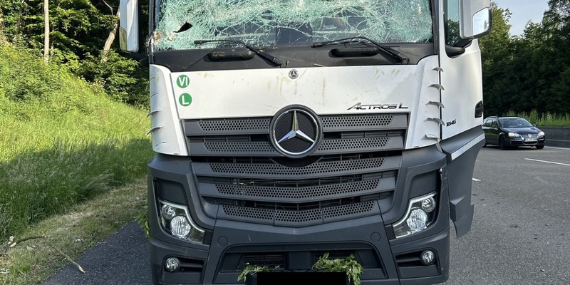 POL-OH: Umgefallener Baum auf Autobahn A7 zertrümmert Windschutzscheibe von LKW - Foto: presseportal.de