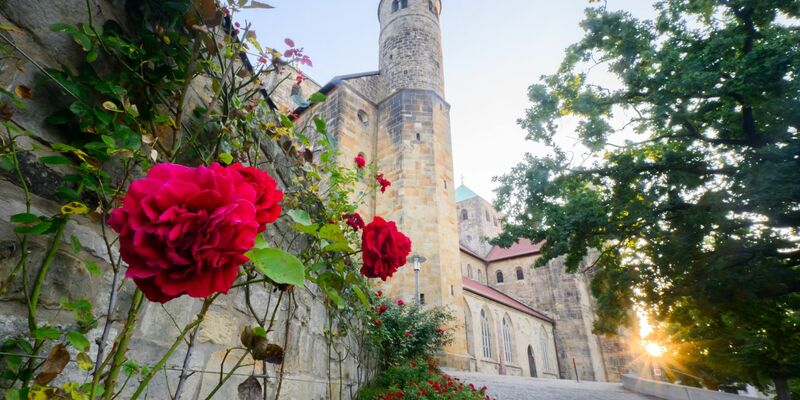 Die St. Michaeliskirche gehört zum Unesco-Weltkulturerbe in Hildesheim. (Archivbild) - Foto: Julian Stratenschulte/dpa