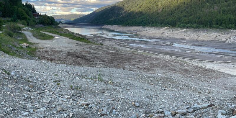 Wegen des massiven Wasserverlusts gibt es Sorgen um den Fischbestand. - Foto: Carmen Kollmann/LPA/dpa