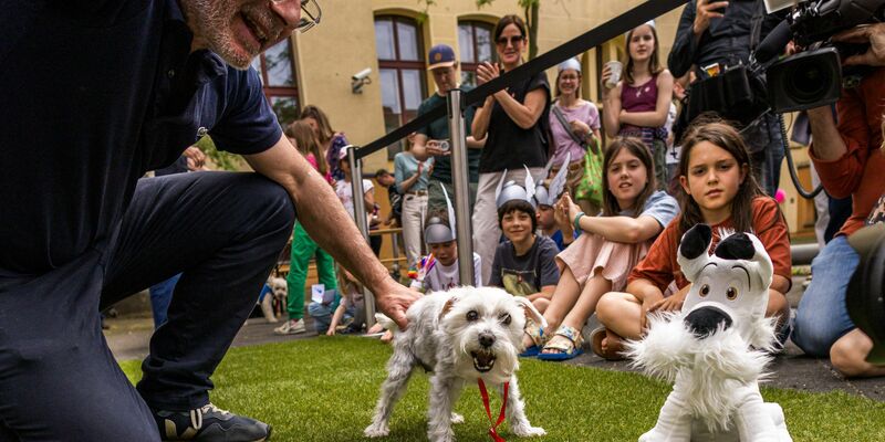 Das Museum widmet den Comic-Helden des französischen Zeichners Albert Uderzo noch bis zum 15. Juni eine Sonderausstellung. - Foto: Carsten Koall/dpa