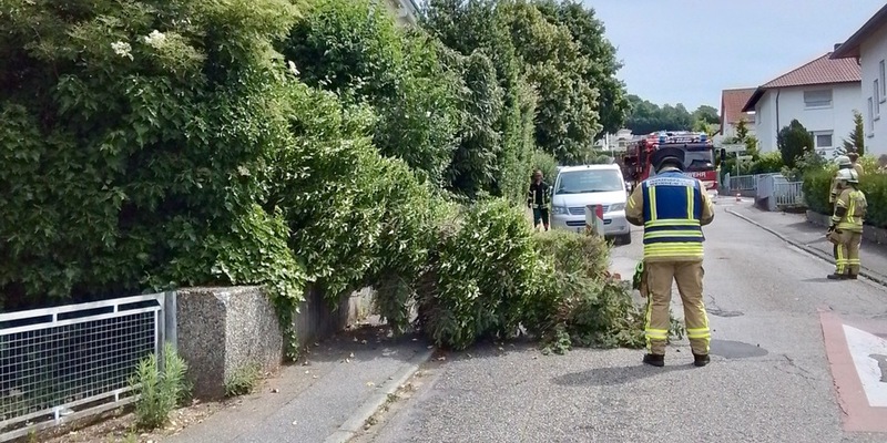 FW Weinheim: Gewitter sorgt für zahlreiche Einsätze der Weinheimer Feuerwehr - Foto: presseportal.de
