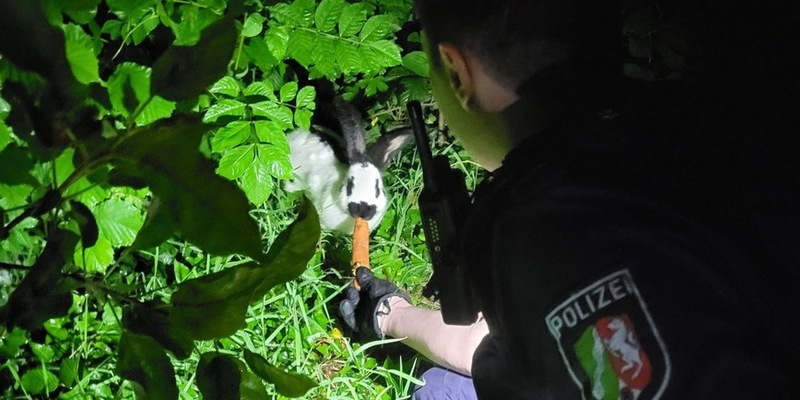 POL-SO: Kaninchen ausgesetzt - Foto: presseportal.de