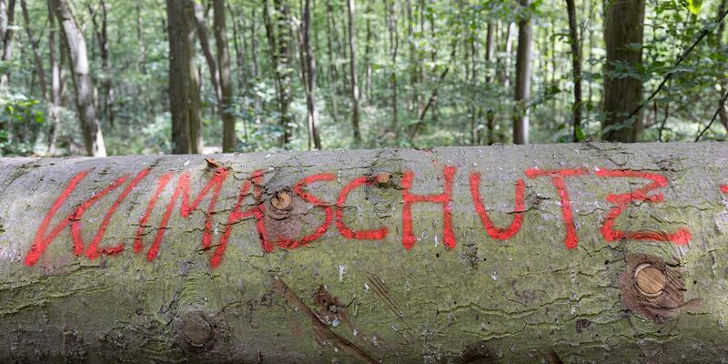 Die Studie basiert auf einer sozialwissenschaftlichen Langzeitbefragung in Deutschland. (Symbolbild) - Foto: Tim Würz/dpa