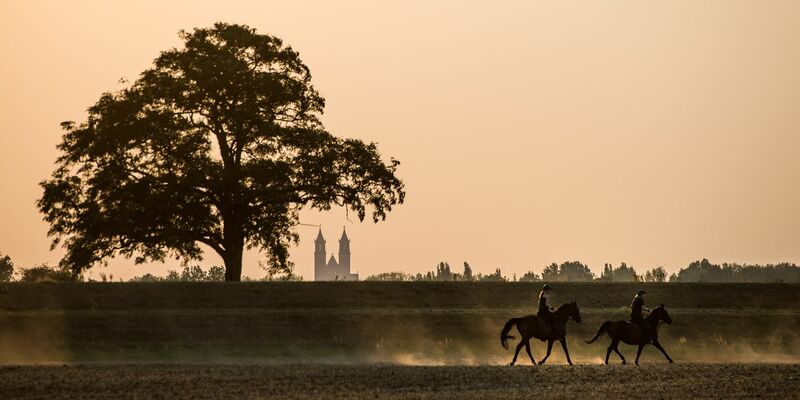 Rauch aus Kanada kann die Luft trüb wirken lassen und zu spektakulären Sonnenuntergängen führen. (Illustration) - Foto: picture alliance / dpa