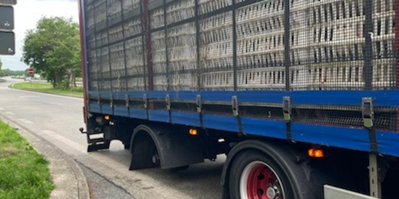 POL-CUX: Geflügeltransport stillgelegt - Foto: presseportal.de