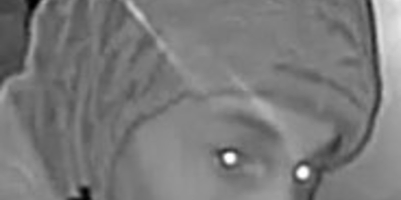 POL-WI: Erneute Öffentlichkeitsfahndung nach männlichem Täter zu einer Einbruchserie - Foto: presseportal.de