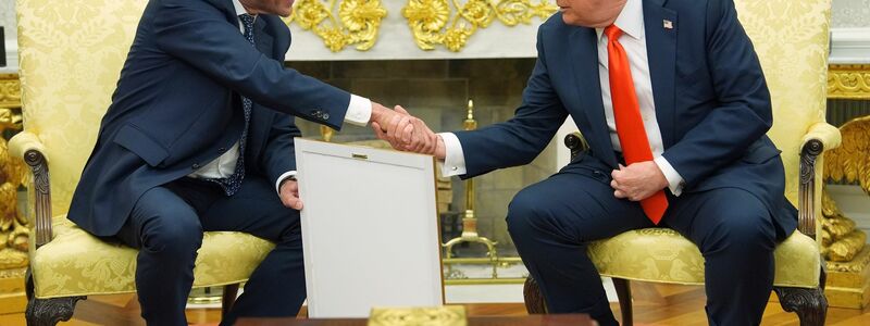 Merz übergab das Gastgeschenk im Oval Office.  - Foto: Evan Vucci/AP/dpa