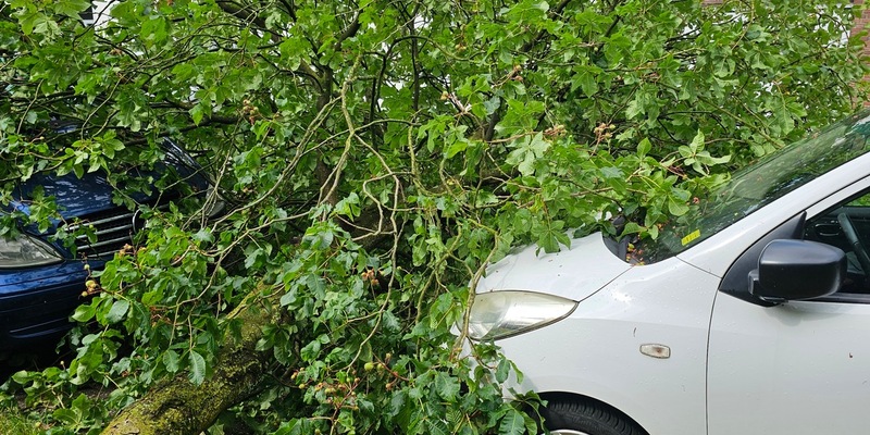 FW Bocholt: Drei wetterbedingte Einsätze nach Unwetter im Bocholter Norden - Foto: presseportal.de