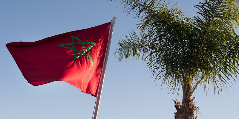 In Marokko sollen die Menschen in diesem Jahr auf das Schlachtopferritual verzichten. (Archivfoto) - Foto: Lukas Schulze/dpa