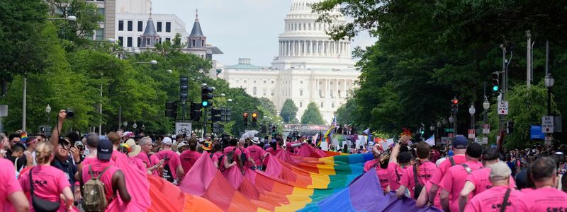 Auf dem Plakat eines Pride-Teilnehmers steht: «Diese Farben verstecken sich nicht vor Faschisten».  - Foto: Mark Schiefelbein/AP/dpa