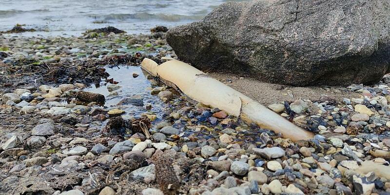 Abwasserrohr ins Meer (Archiv) - Foto: über dts Nachrichtenagentur