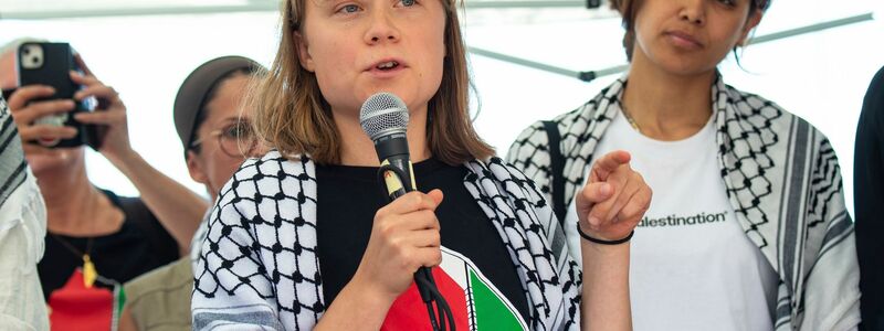 Thunberg ist eigentlich mit ihrem rigorosen Kampf für mehr Klimaschutz weltbekannt geworden. (Archivbild) - Foto: Salvatore Cavalli/AP/dpa
