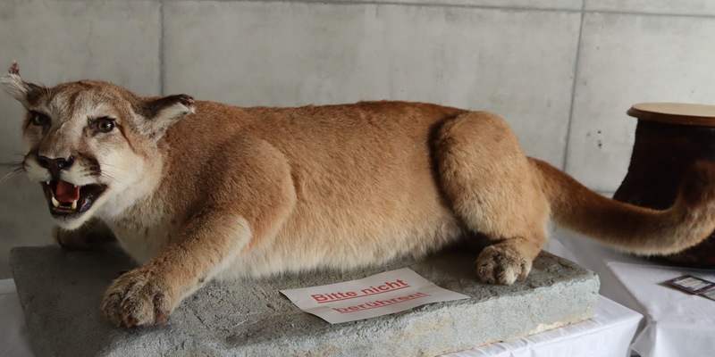 HZA-R: Zoll lädt zum Informationstag nach Hof ein - Blick hinter die Kulissen eines spannenden Berufs - Foto: presseportal.de