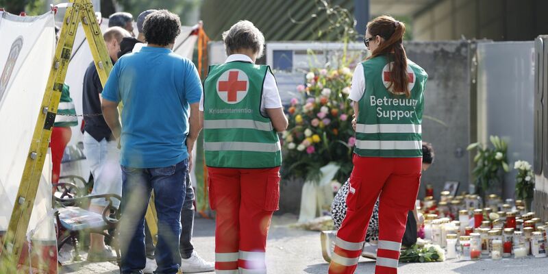 Das Staatsoberhaupt bringt sich in die Waffen-Debatte ein. - Foto: Erwin Scheriau/APA/dpa