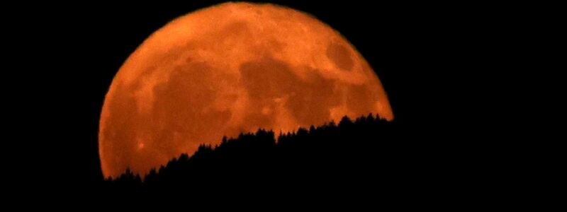 In Oberbayern wirkte der aufgehende Erdbeermond hinter dunklen Wäldern besonders groß. - Foto: Karl-Josef Hildenbrand/dpa