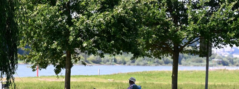 Ein Mann hat sich ein schattiges Plätzchen am Ufer des Rheins in Leverkusen gesucht. (Archivbild) - Foto: Roberto Pfeil/dpa