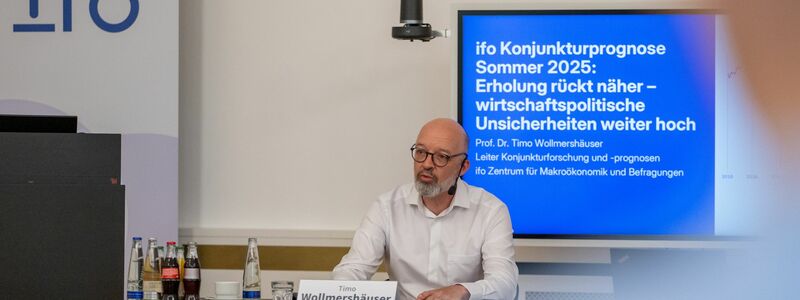 Ifo-Konjunkturchef ist für 2026 optimistisch. Die längerfristigen Wachstumsperspektiven jedoch bleiben mau. - Foto: Leonie Asendorpf/dpa