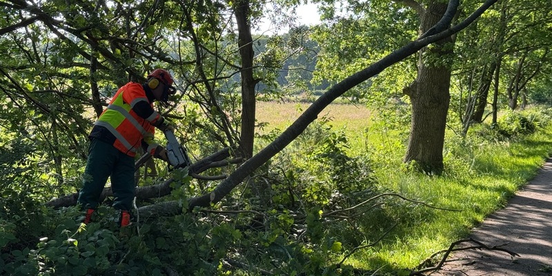FW-AUR: Baum droht auf Radweg zu fallen - Foto: presseportal.de